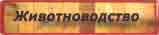 Животноводство